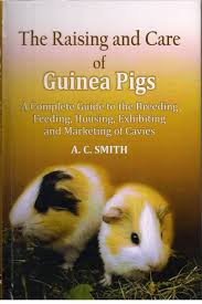 The Raising and Care of Guinea Pigs